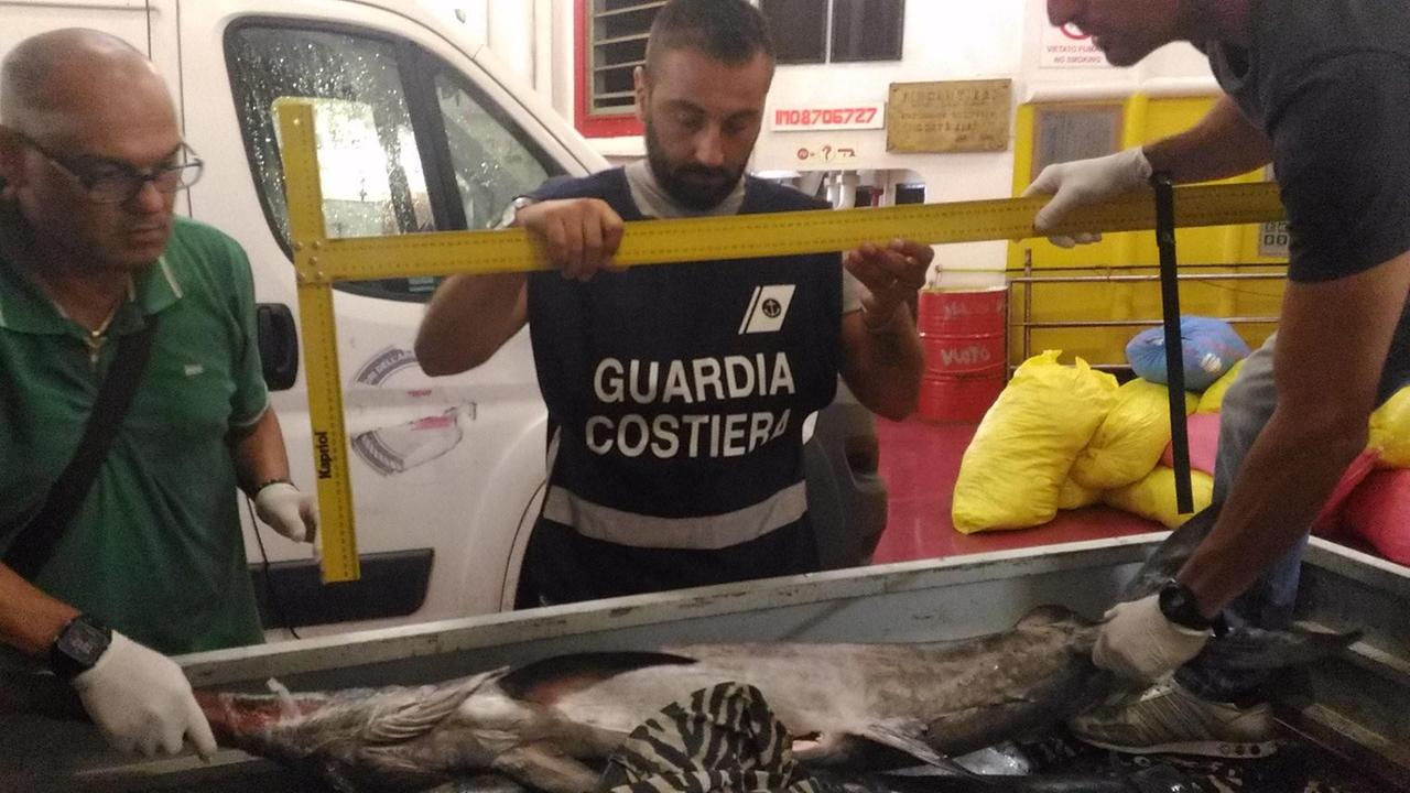 I controlli della guardia costiera