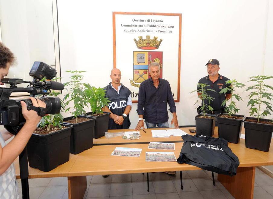 Giovane investe nella cannabis light, la polizia lo arresta nella sua azienda 