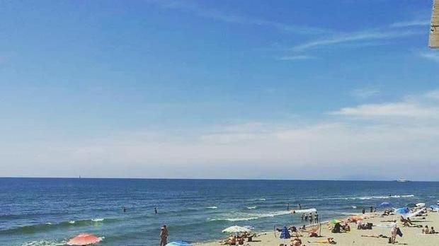 Controlli sul cane che ha azzannato la bimba in spiaggia