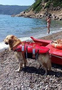 Cani bagnini, una giornata con Laky e i suoi compagni
