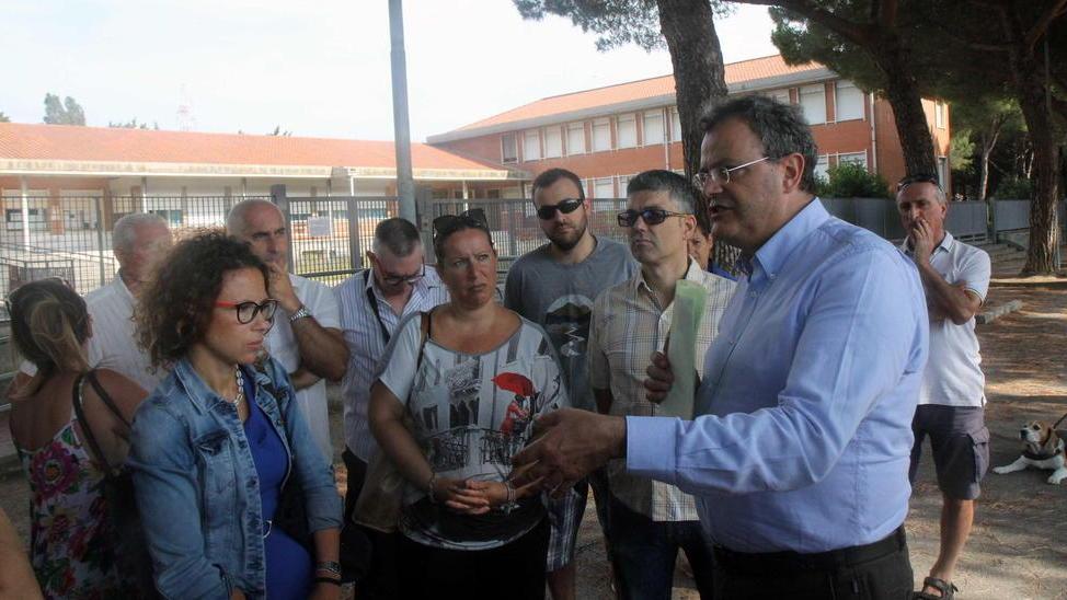 Il Comune: «I pini vanno abbattuti subito»