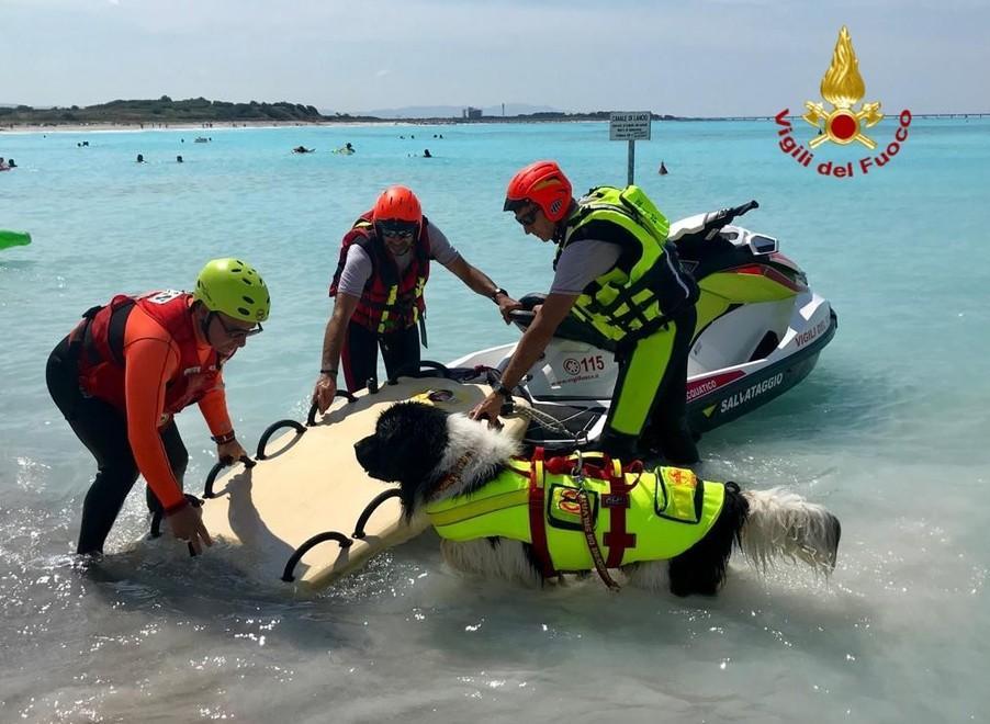 Vigili del fuoco al Lillatro per esercitazioni in mare con cani e moto d’acqua