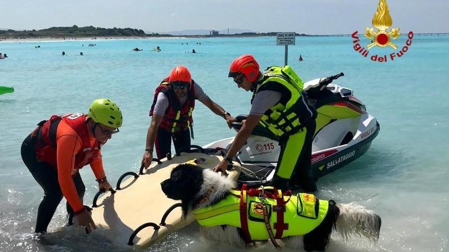 Vigili del fuoco al Lillatro per esercitazioni in mare con cani e moto d’acqua