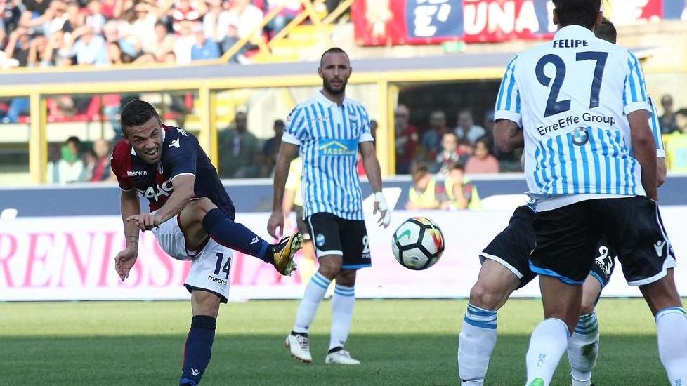 Semplici chiede una Spal con più fantasia Trattativa per Di Francesco, fiducia a Jankovic