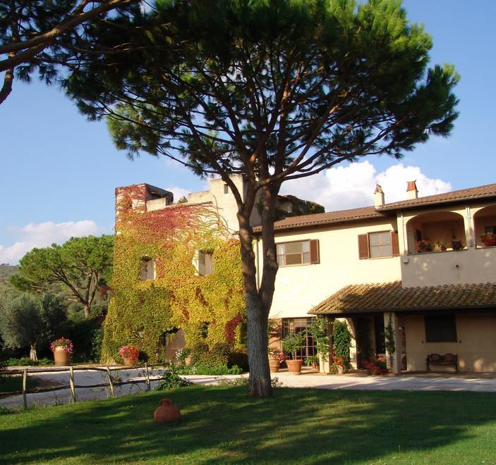 Cabernet Franc e Viognier, obiettivo le vendite all’estero 