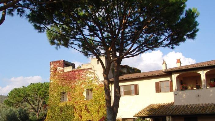 Cabernet Franc e Viognier, obiettivo le vendite all’estero