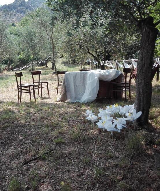 Gaia e Marco finalmente sposi sotto gli antichi ulivi di Nicosia 