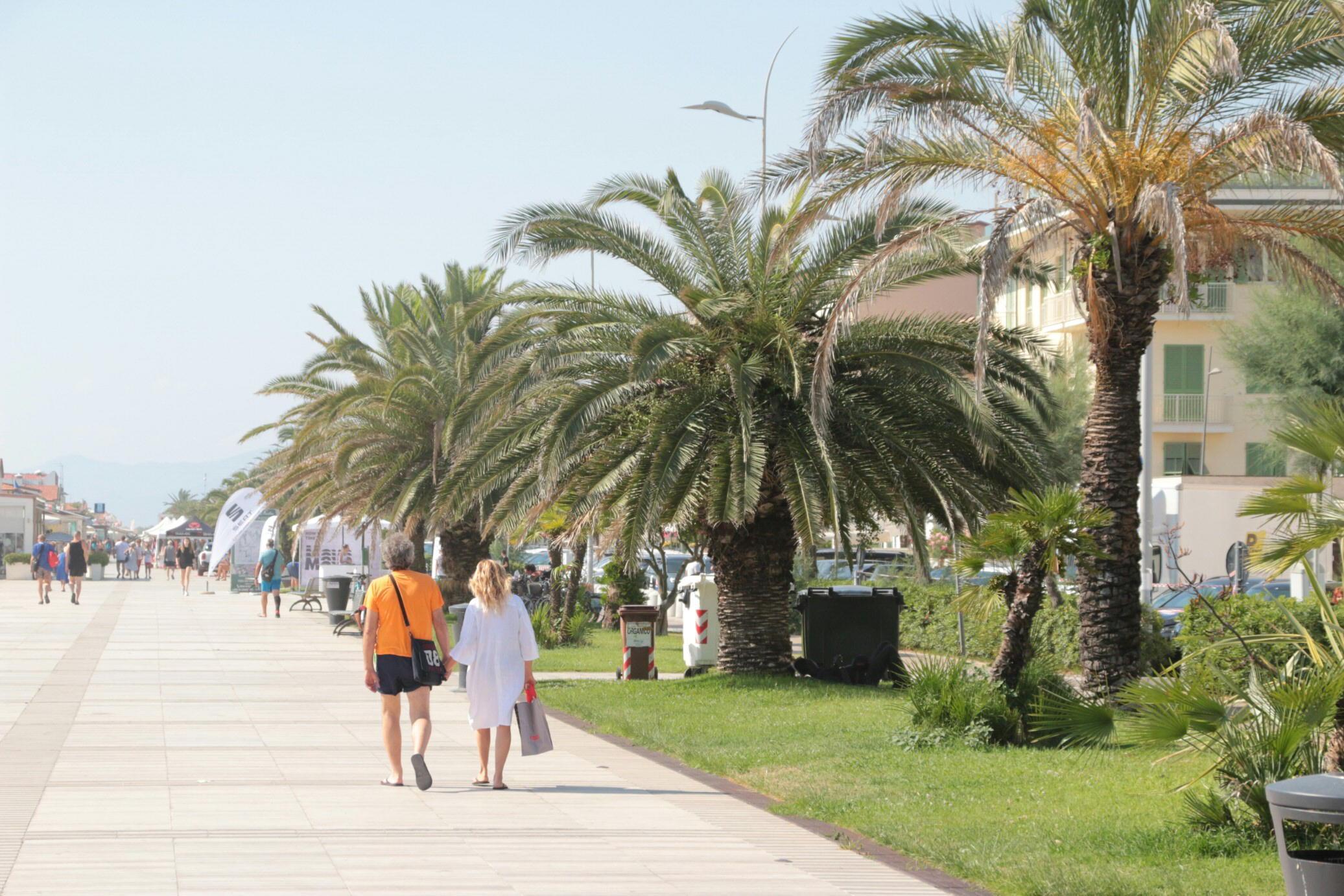 Camaiore (foto Ciurca/Paglianti)