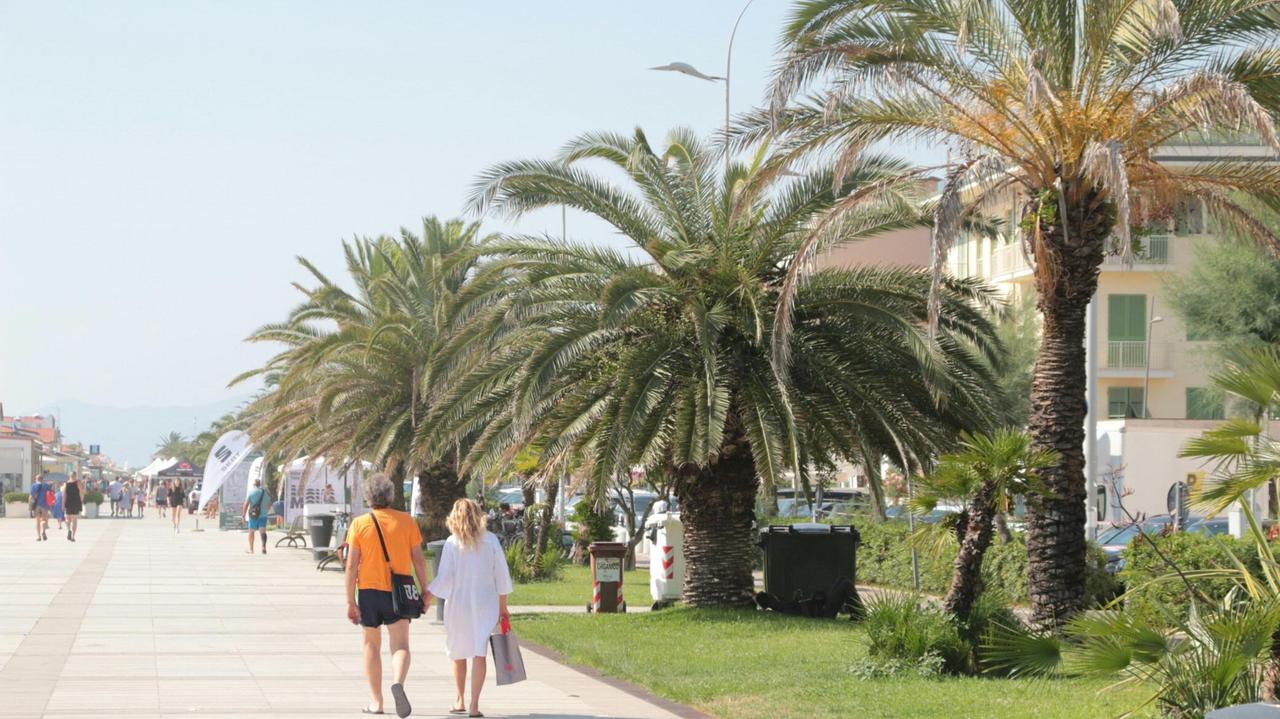 Camaiore (foto Ciurca/Paglianti)