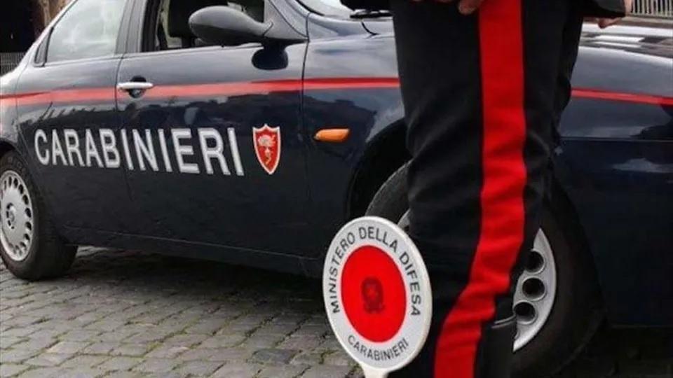 Rubano 40 quintali di legna ma vengono scoperti dai carabinieri