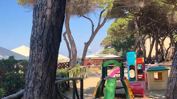 Bagno La Pineta, tra spiaggia e alberi il relax a Follonica