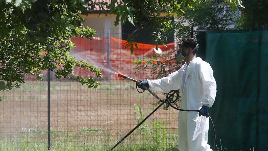 Le zanzare e i quartieri “regni” del pizzicotto. Isole senza punture solo dove si è disinfestato