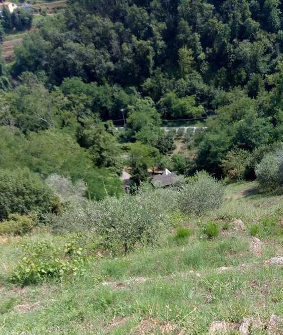 Appello dei residenti «Strada troppo pericolosa»