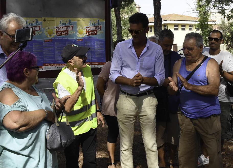 «Convivere con i pini si può E qui ora non ci sono rischi» 