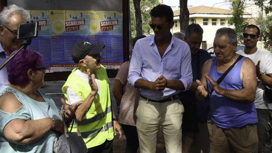 «Convivere con i pini si può E qui ora non ci sono rischi»