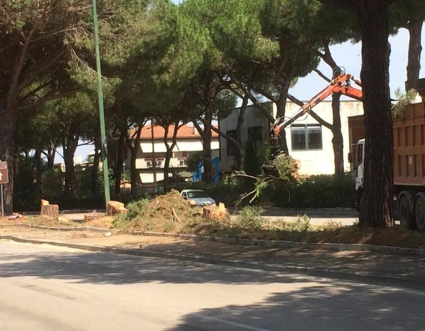 Giù tre alberi Via della Paranza cambia faccia