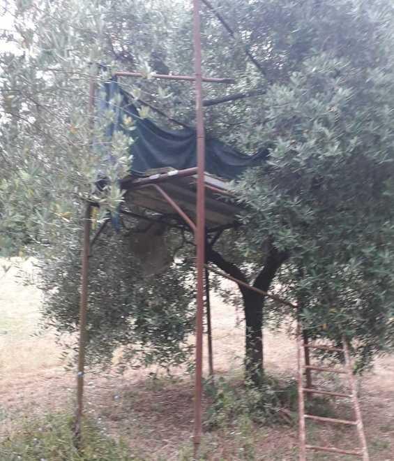Spari accanto alle case è allarme bracconaggio nel Sanminiatese