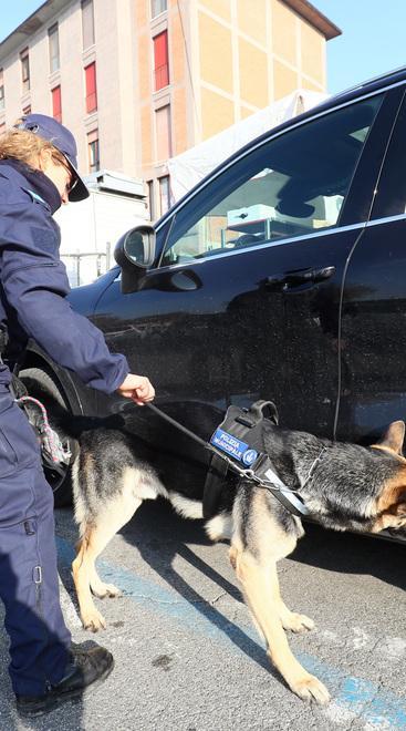 Nuovo arresto per droga, nei guai un 51enne 