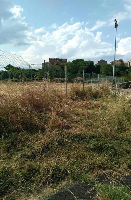 Il campo di calcio abbandonato è terreno di pascolo per due cavalle 