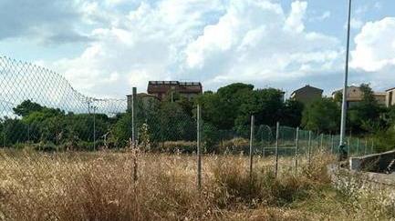 Il campo di calcio abbandonato è terreno di pascolo per due cavalle
