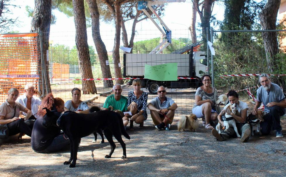 Tutti a terra: non si ferma la protesta dei pini 
