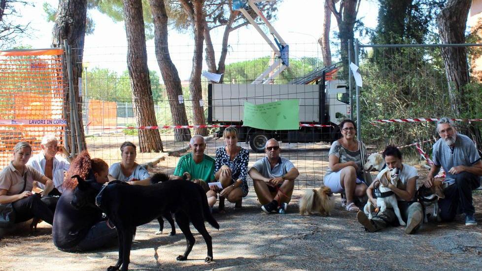Tutti a terra: non si ferma la protesta dei pini