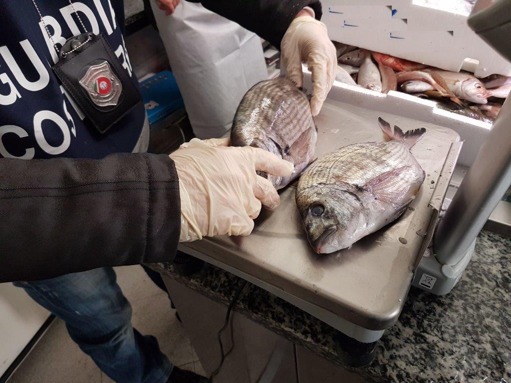 Controlli della Guardia Costiera in una pescheria (foto d'archivio)