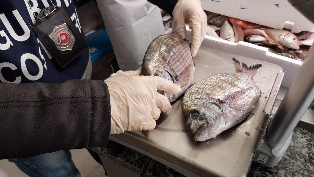 Controlli della Guardia Costiera in una pescheria (foto d'archivio)
