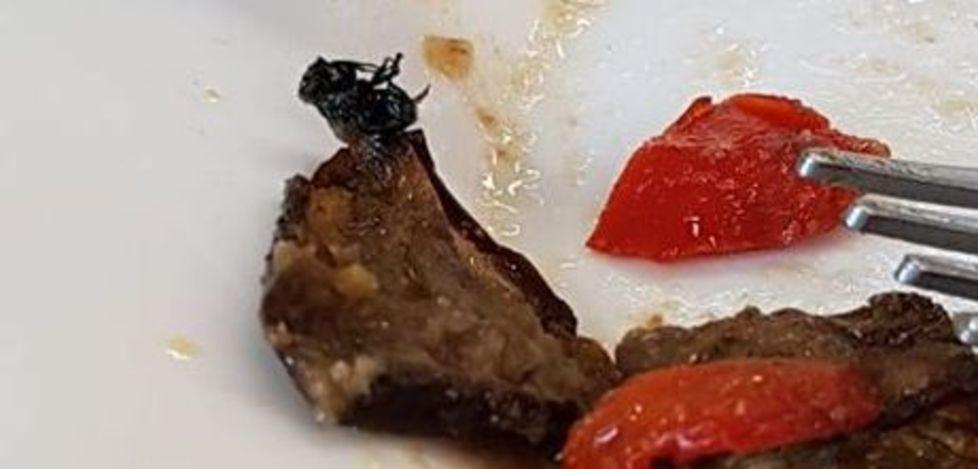 L'insetto nel piatto delle verdure