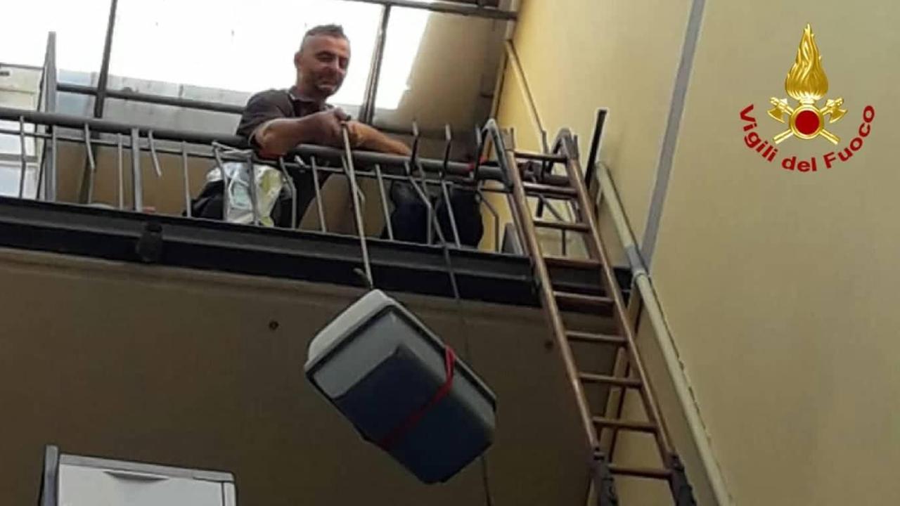 Reggio Emilia, gattino entra in una casa vuota e resta incastrato: salvato dai vigili del fuoco