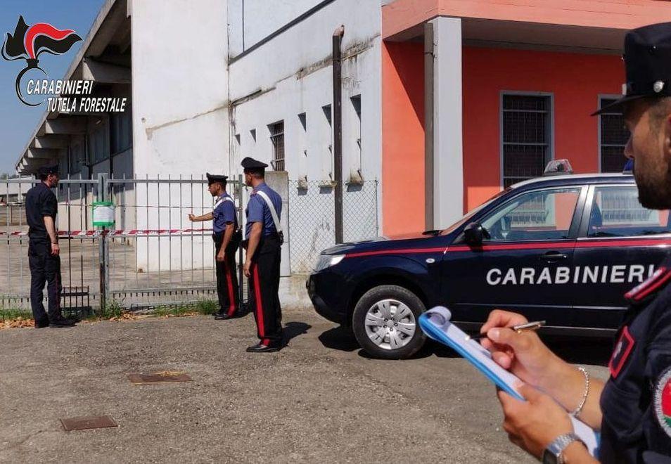 Nel capannone una discarica abusiva Scoperte 1.500 balle di rifiuti pericolosi 