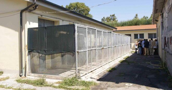 Entra come un ladro nel canile per portarsi via il proprio cane: denunciato per furto aggravato 