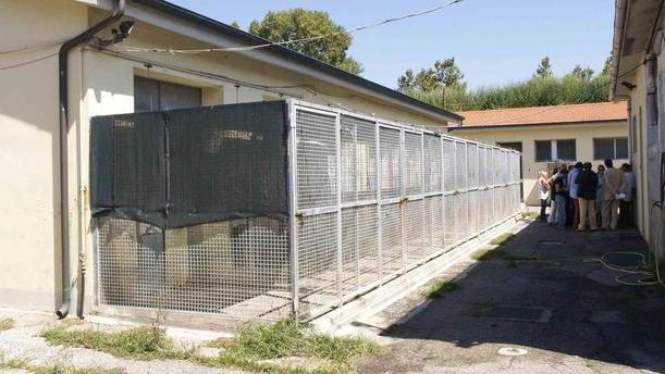 Entra come un ladro nel canile per portarsi via il proprio cane: denunciato per furto aggravato