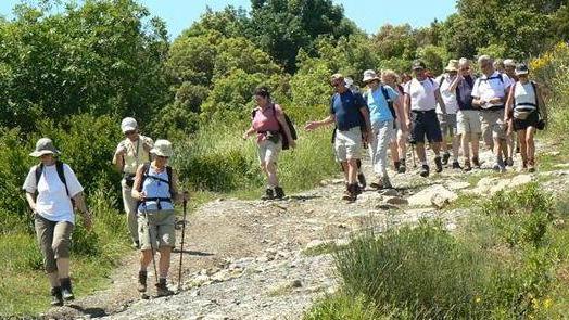 Camminata nei boschi alla scoperta di Montioni