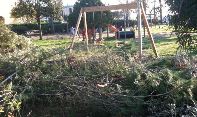 «Ingresso del parco bloccato dai rami»