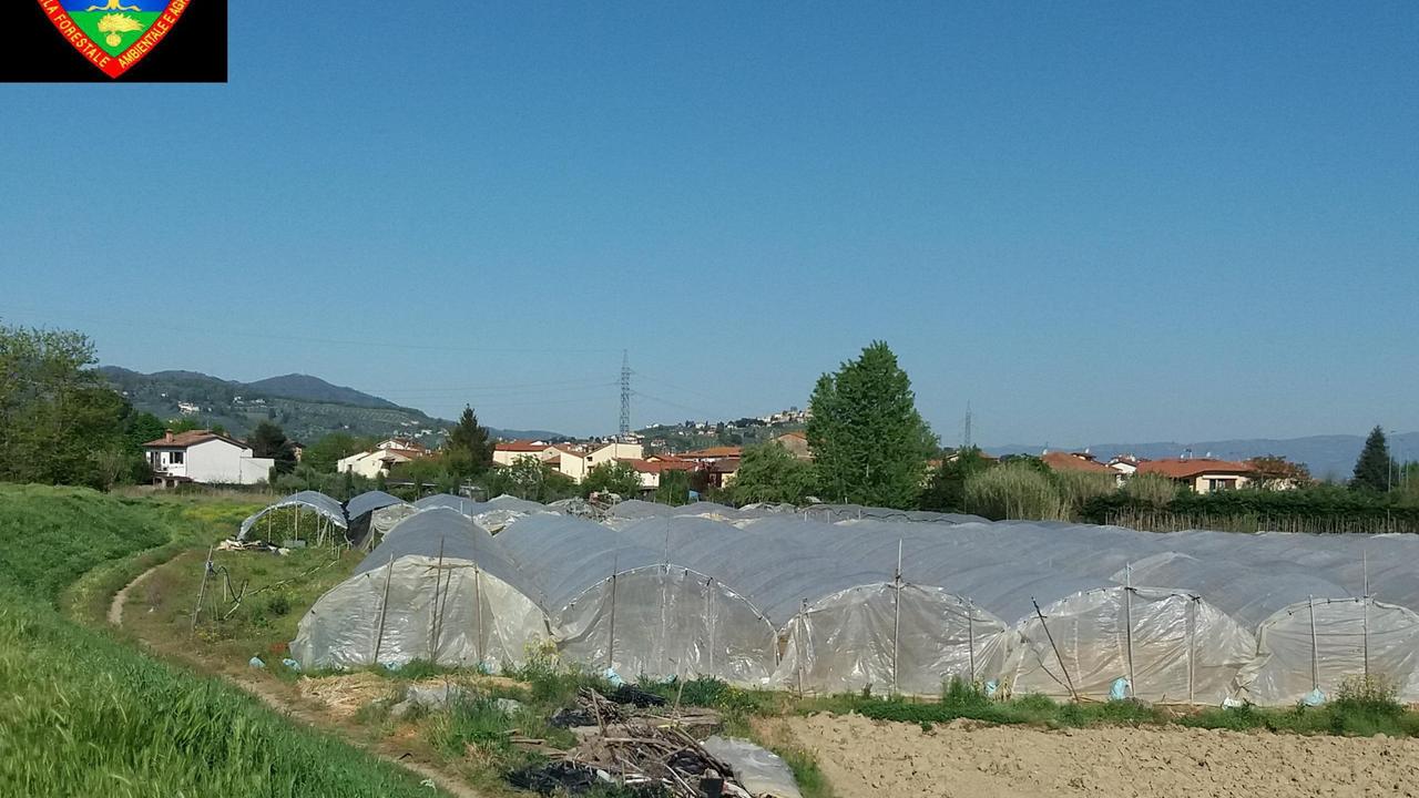 Serre cinesi