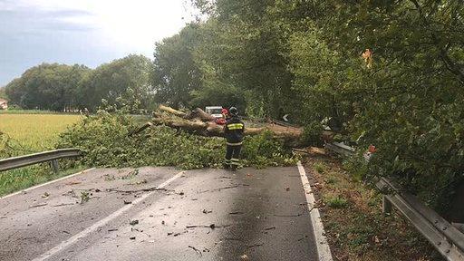 Fortunale in provincia, alberi caduti e tetti scoperchiati