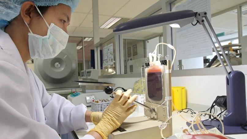 A Modena una terapia rivoluzionaria Staminali e ceramica per riparare le ossa