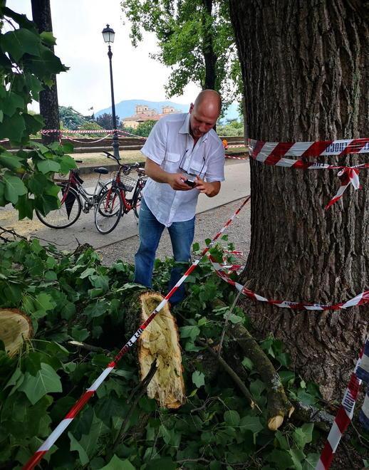 Incidente sulle mura: indagine  per capire di più sul crollo del ramo 