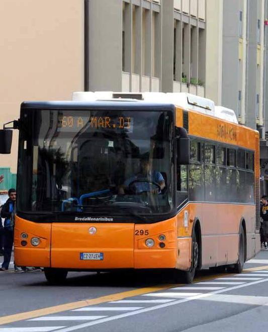 Prese a pugni il controllore condannato a cinque mesi 
