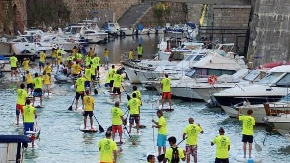 Sulla tavola col retino in mano a caccia di rifiuti