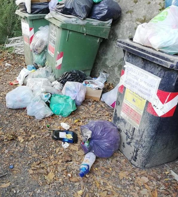 Rifiuti, caos per gli abbandoni Il sindaco: «Più porta a porta» 