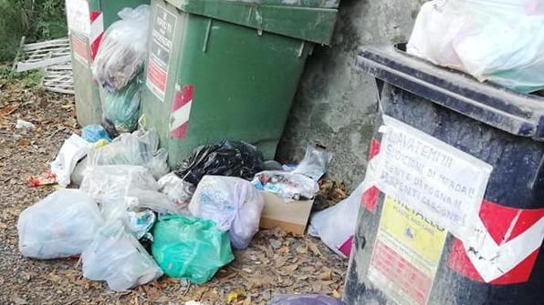 Rifiuti, caos per gli abbandoni Il sindaco: «Più porta a porta»
