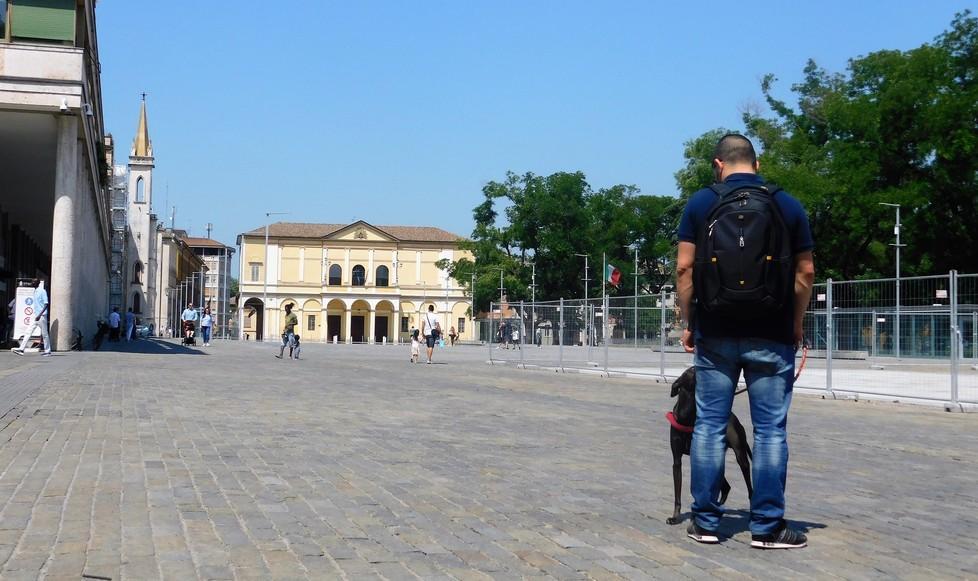 Fra le opzioni la cura il salvataggio e il taglio