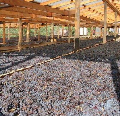 Vini elbani in bella mostra al Vinitaly