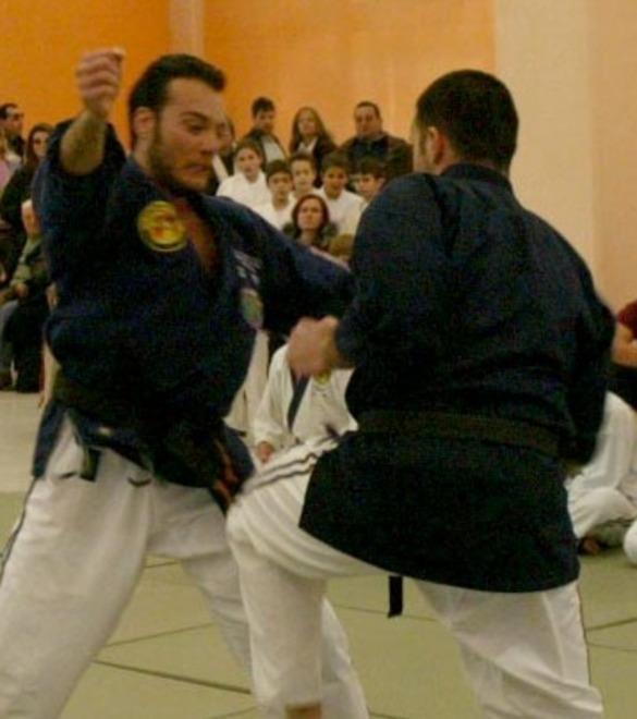Esibizione di arti marziali
