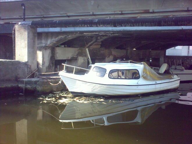 Moria di pesci nel canale Burlamacca. Il fenomeno dura da giorni 