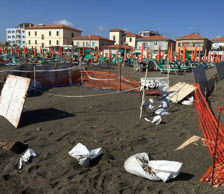 Salvo il nido delle tartarughine a Marina, il maltempo non disturba le uova 