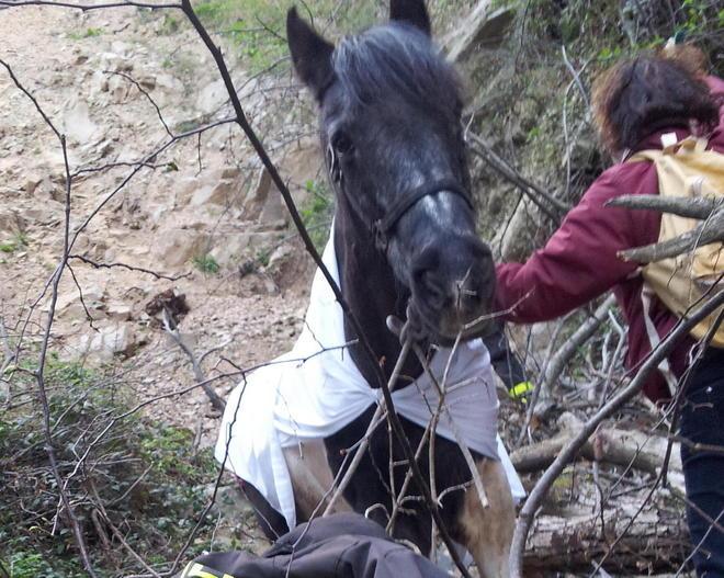 Recuperato di notte il giovane precipitato col cavallo: sta bene 