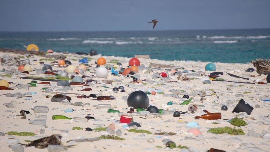 Spiagge libere dalla plastica, a Rosignano multe fino a 500 euro